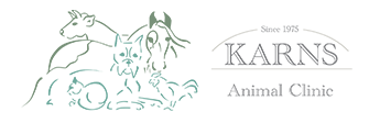 Link to Homepage of Karns Animal Clinic